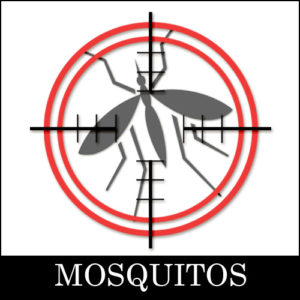 Mosquito Abatement