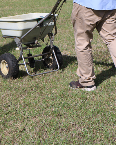 Bug Cops technician using a broadcast spreader for full-yard fire ant treatment services