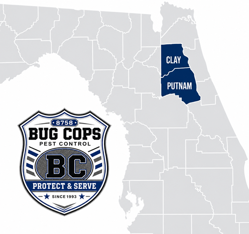Bug Cops Pest Control service area map highlighting Clay County and Putnam County, Florida.