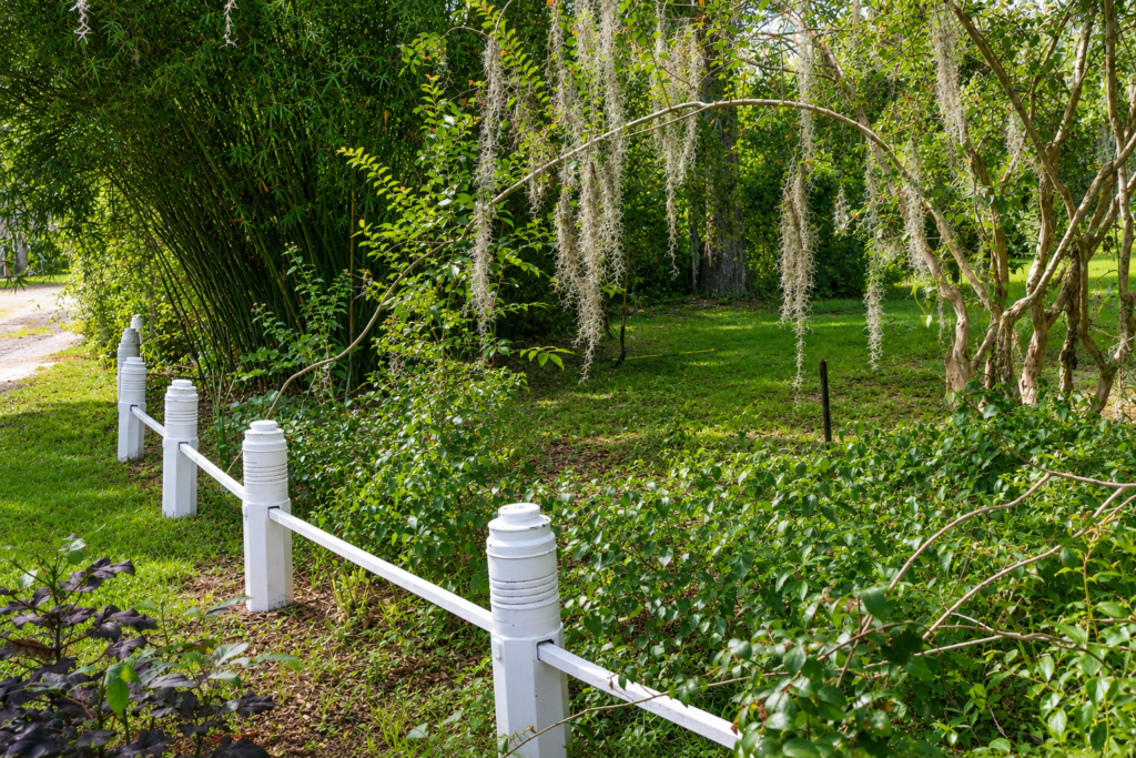 Wooded residential property representing Bug Cops pest control service in Palatka FL