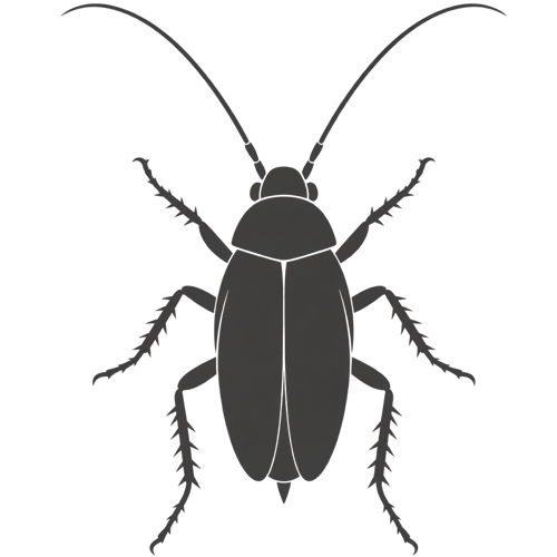 cockroach identification icon