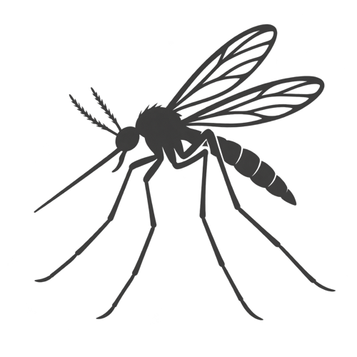 mosquito identification icon
