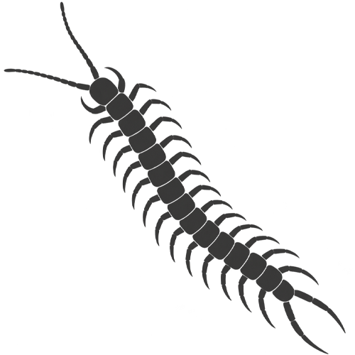 occasional invaders identification icon