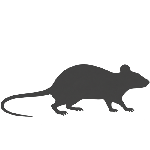rat identification icon