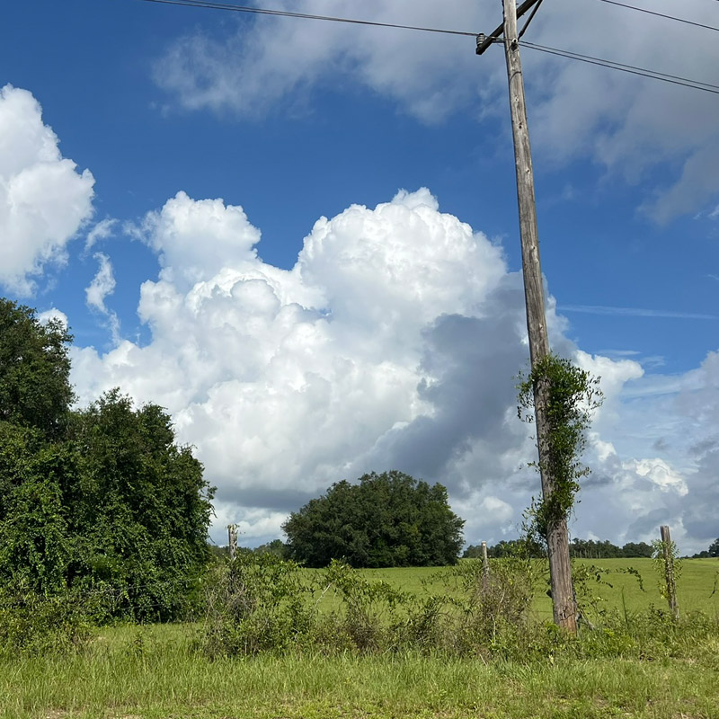 Rural Putnam County pasture on CR 315 beneath blue skies and large clouds