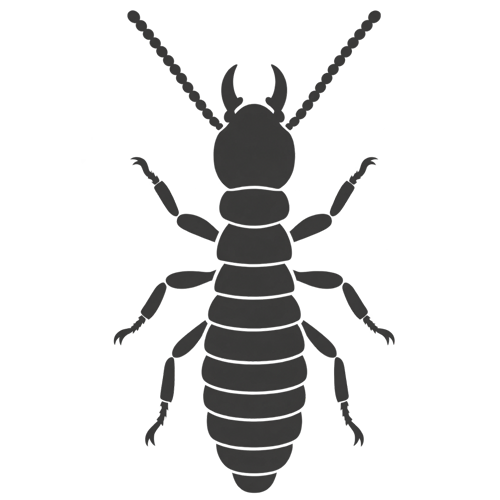 termite identification icon