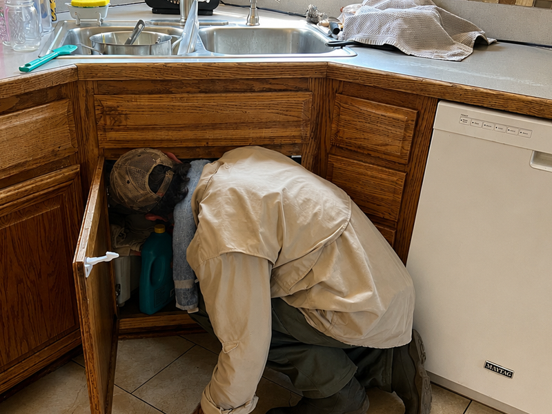 Bug Cops technician inspecting beneath a kitchen sink for signs of ant activity
