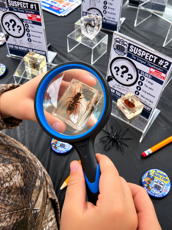 Young investigator using a magnifying glass to examine an insect preserved in resin during the Junior Bug Cop identification activity.